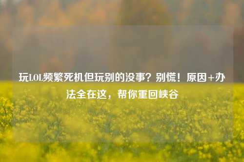 玩LOL频繁死机但玩别的没事?别慌!原因+办法全在这,帮你重回峡谷