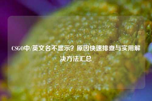CSGO中/英文名不显示？原因快速排查与实用解决方法汇总