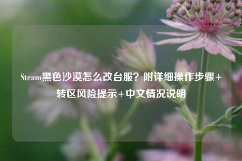 Steam黑色沙漠怎么改台服?附详细操作步骤+转区风险提示+中文情况说明