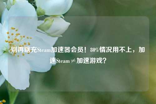 别再瞎充Steam加速器会员！80%情况用不上，加速Steam≠加速游戏？