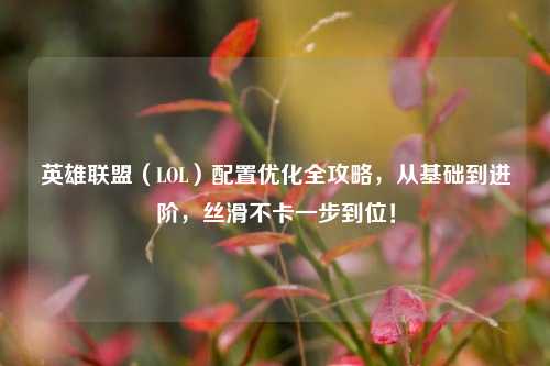 英雄联盟(LOL)配置优化全攻略,从基础到进阶,丝滑不卡一步到位!