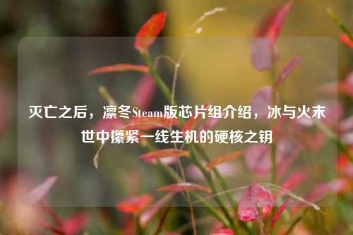 灭亡之后,凛冬Steam版芯片组介绍,冰与火末世中攥紧一线生机的硬核之钥