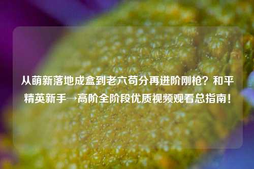 从萌新落地成盒到老六苟分再进阶刚枪？和平精英新手→高阶全阶段优质视频观看总指南！