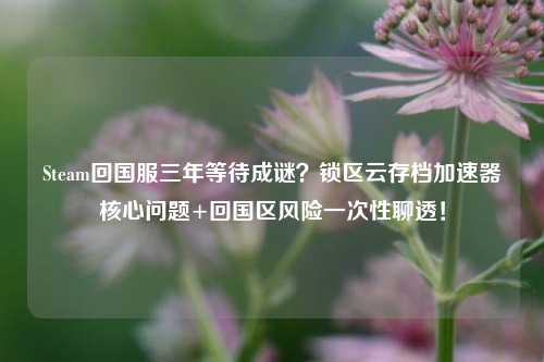 Steam回国服三年等待成谜?锁区云存档加速器核心问题+回国区风险一次性聊透!