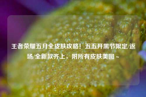 王者荣耀五月全皮肤攻略！五五开黑节限定/返场/全新款齐上，附所有皮肤美图～