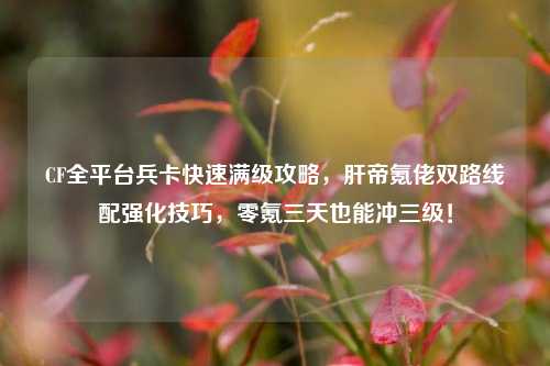 CF全平台兵卡快速满级攻略,肝帝氪佬双路线配强化技巧,零氪三天也能冲三级!