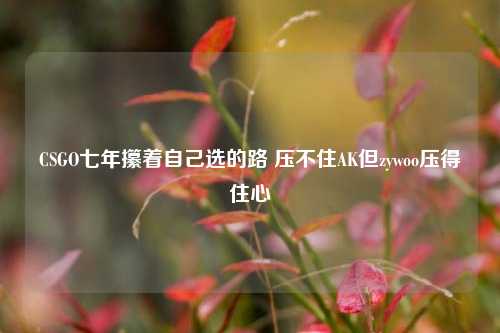 CSGO七年攥着自己选的路 压不住AK但zywoo压得住心