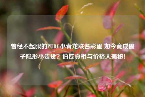 曾经不起眼的PUBG小青龙联名彩蛋 如今竟成圈子隐形小贵货?值钱真相与价格大揭秘!