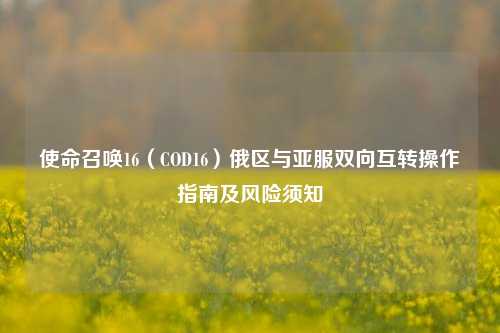 使命召唤16(COD16)俄区与亚服双向互转操作指南及风险须知
