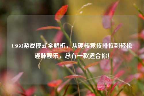 CSGO游戏模式全解析，从硬核竞技排位到轻松趣味娱乐，总有一款适合你！
