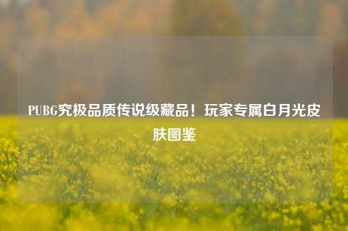 PUBG究极品质传说级藏品！玩家专属白月光皮肤图鉴