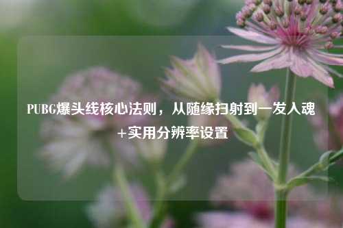 PUBG爆头线核心法则,从随缘扫射到一发入魂+实用分辨率设置