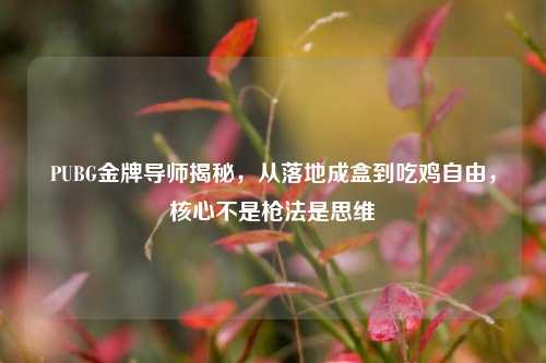 PUBG金牌导师揭秘，从落地成盒到吃鸡自由，核心不是枪法是思维