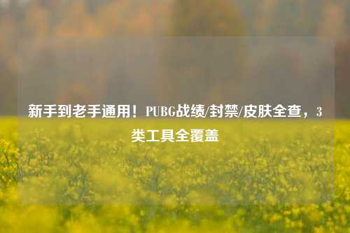 新手到老手通用!PUBG战绩/封禁/皮肤全查,3类工具全覆盖