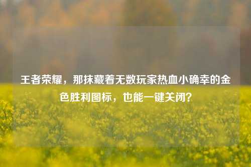 王者荣耀，那抹藏着无数玩家热血小确幸的金色胜利图标，也能一键关闭？