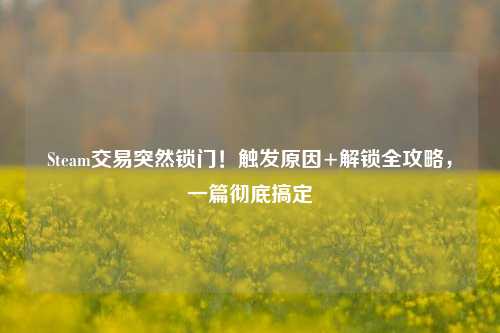 Steam交易突然锁门!触发原因+解锁全攻略,一篇彻底搞定