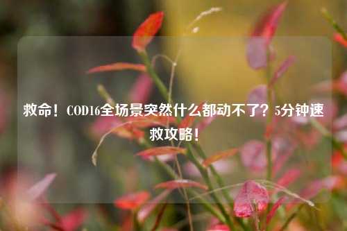 救命!COD16全场景突然什么都动不了?5分钟速救攻略!