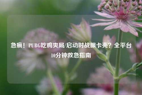 急疯！PUBG吃鸡爽局/启动时战眼卡壳？全平台10分钟救急指南