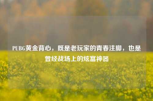 PUBG黄金背心，既是老玩家的青春注脚，也是曾经战场上的炫富神器