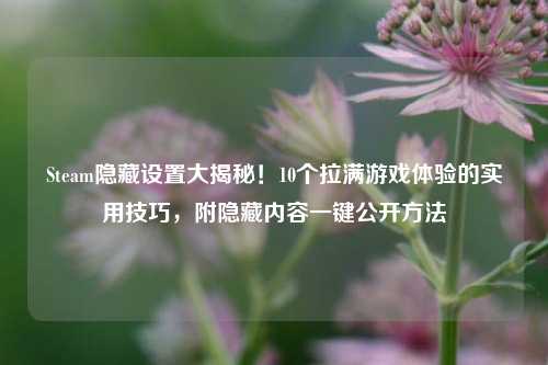 Steam隐藏设置大揭秘！10个拉满游戏体验的实用技巧，附隐藏内容一键公开方法