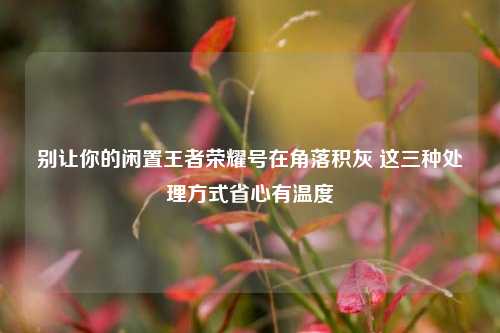 别让你的闲置王者荣耀号在角落积灰 这三种处理方式省心有温度