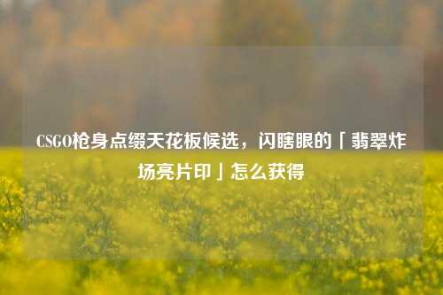CSGO枪身点缀天花板候选，闪瞎眼的「翡翠炸场亮片印」怎么获得