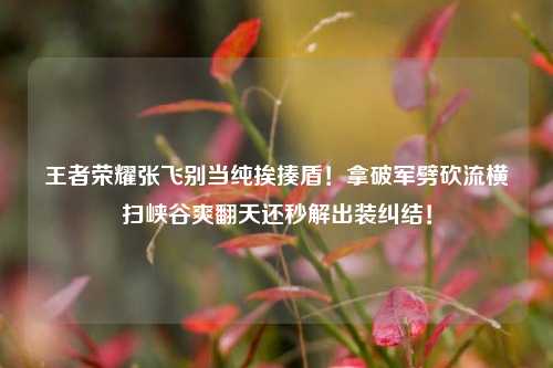 王者荣耀张飞别当纯挨揍盾！拿破军劈砍流横扫峡谷爽翻天还秒解出装纠结！