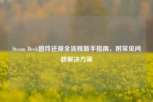 Steam Deck固件还原全流程新手指南,附常见问题解决方案