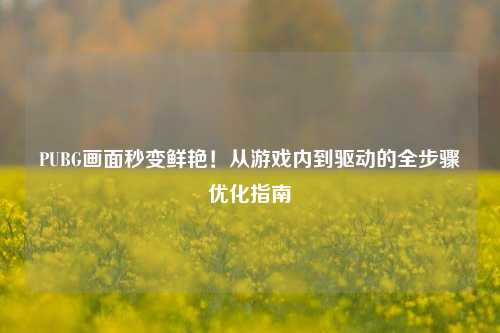 PUBG画面秒变鲜艳！从游戏内到驱动的全步骤优化指南