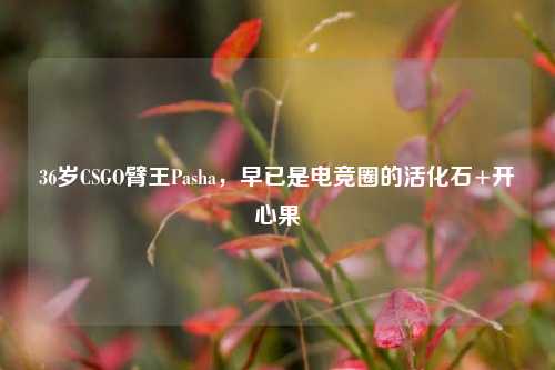 36岁CSGO臂王Pasha,早已是电竞圈的活化石+开心果