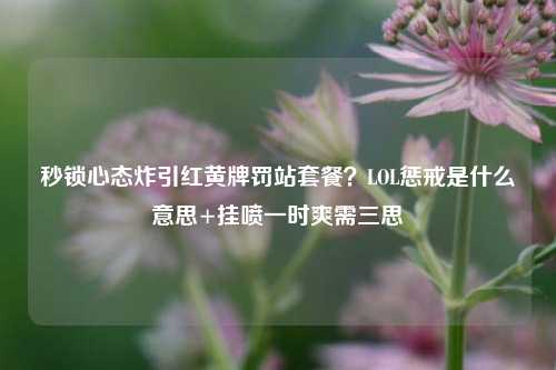 秒锁心态炸引红黄牌罚站套餐?LOL惩戒是什么意思+挂喷一时爽需三思