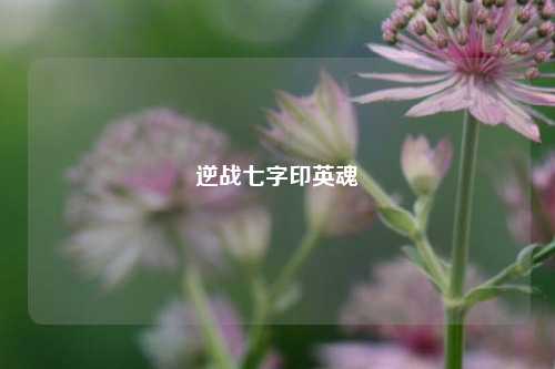 逆战七字印英魂