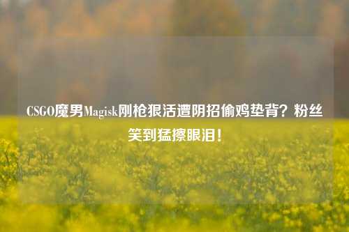 CSGO魔男Magisk刚枪狠活遭阴招偷鸡垫背?粉丝笑到猛擦眼泪!