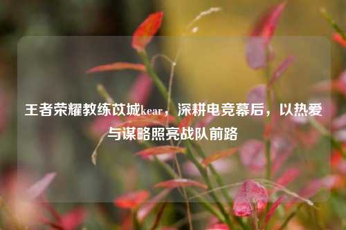 王者荣耀教练苡城kear,深耕电竞幕后,以热爱与谋略照亮战队前路