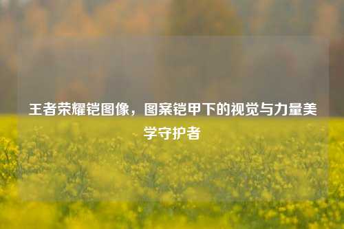 王者荣耀铠图像,图案铠甲下的视觉与力量美学守护者
