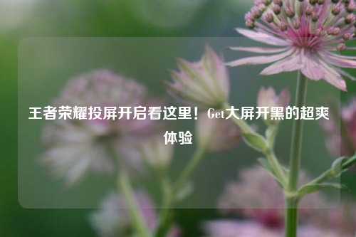 王者荣耀投屏开启看这里！Get大屏开黑的超爽体验