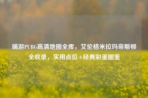 端游PUBG高清地图全库,艾伦格米拉玛帝斯顿全收录,实用点位+经典彩蛋图鉴