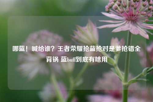 哪蓝！喊给谁？王者荣耀抢蓝抢对是爹抢错全背锅 蓝buff到底有啥用