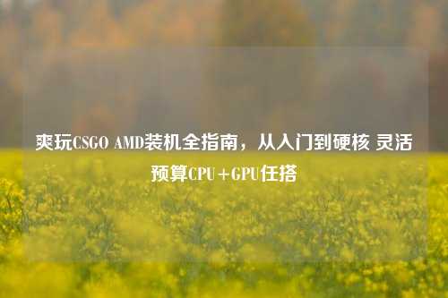 爽玩CSGO AMD装机全指南,从入门到硬核 灵活预算CPU+GPU任搭