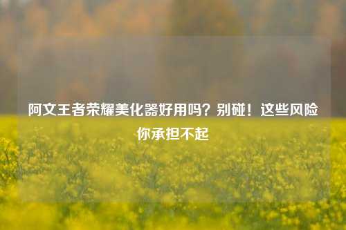 阿文王者荣耀美化器好用吗？别碰！这些风险你承担不起