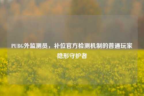 PUBG外监测员,补位官方检测机制的普通玩家隐形守护者