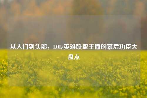从入门到头部，LOL/英雄联盟主播的幕后功臣大盘点