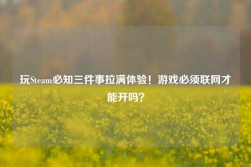 玩Steam必知三件事拉满体验！游戏必须联网才能开吗？