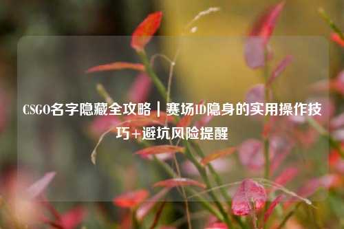 CSGO名字隐藏全攻略|赛场ID隐身的实用操作技巧+避坑风险提醒