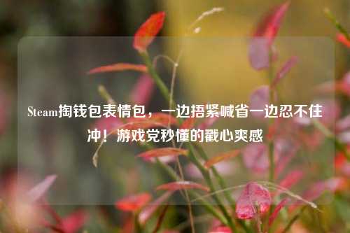 Steam掏钱包表情包,一边捂紧喊省一边忍不住冲!游戏党秒懂的戳心爽感