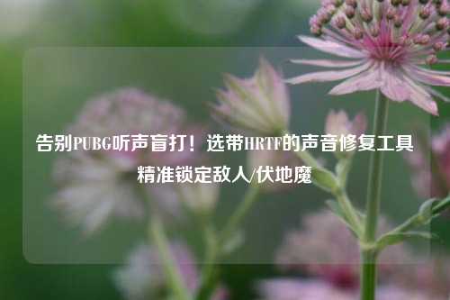 告别PUBG听声盲打!选带HRTF的声音修复工具精准锁定敌人/伏地魔