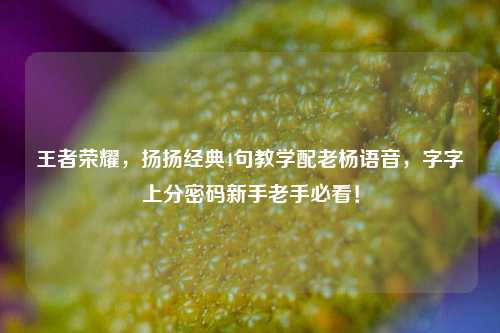 王者荣耀，扬扬经典4句教学配老杨语音，字字上分密码新手老手必看！