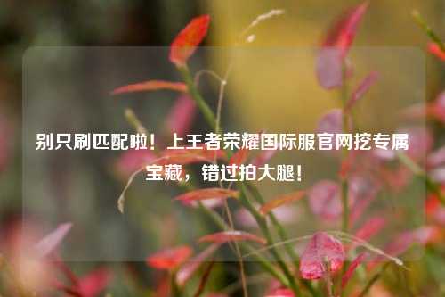 别只刷匹配啦!上王者荣耀国际服官网挖专属宝藏,错过拍大腿!