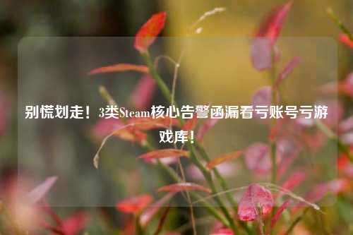 别慌划走！3类Steam核心告警函漏看亏账号亏游戏库！