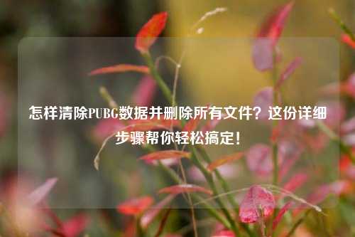怎样清除PUBG数据并删除所有文件？这份详细步骤帮你轻松搞定！